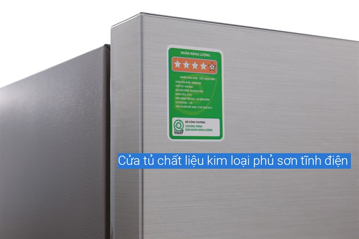 Tủ lạnh RB30N4010S8/SV