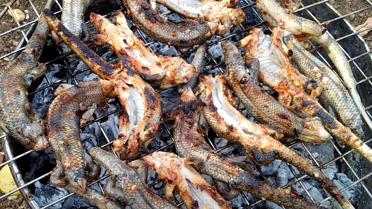 3 cách làm rắn mối nướng thơm ngon dân dã lạ miệng đặc sản miền Tây
