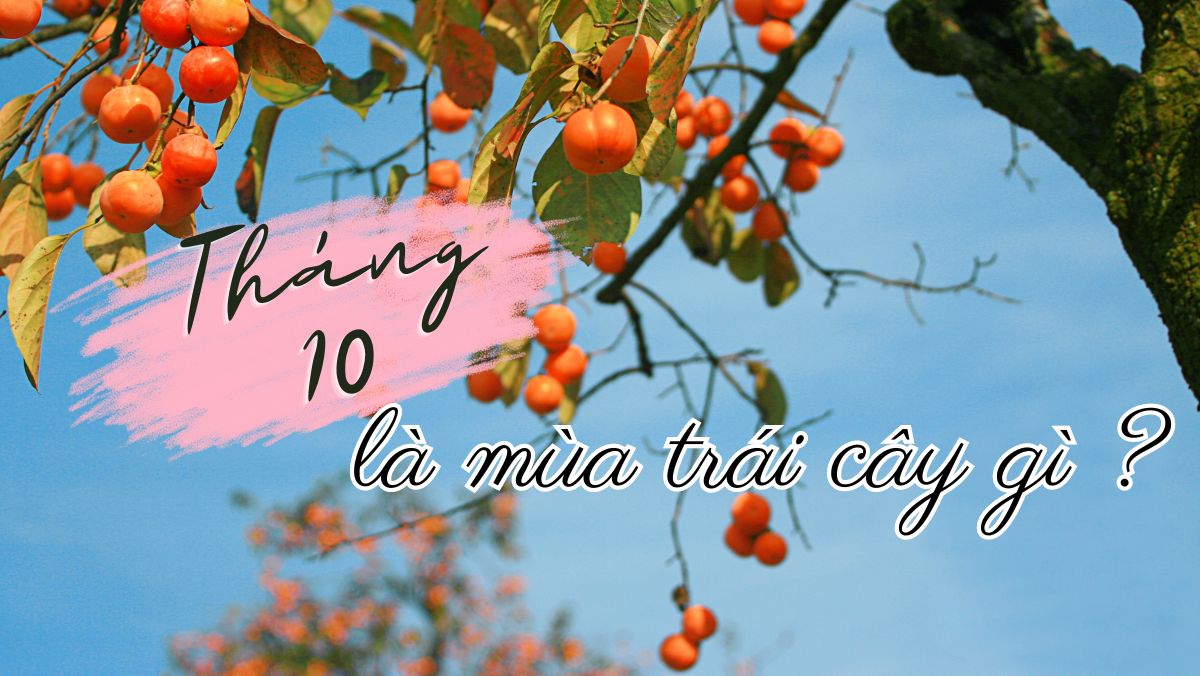 Tháng 10 là mùa trái cây gì
