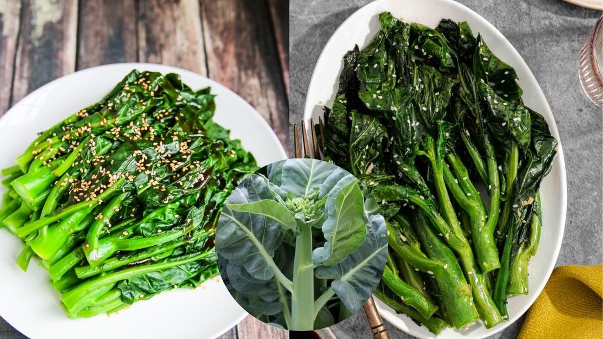 Rau cải làn là rau gì