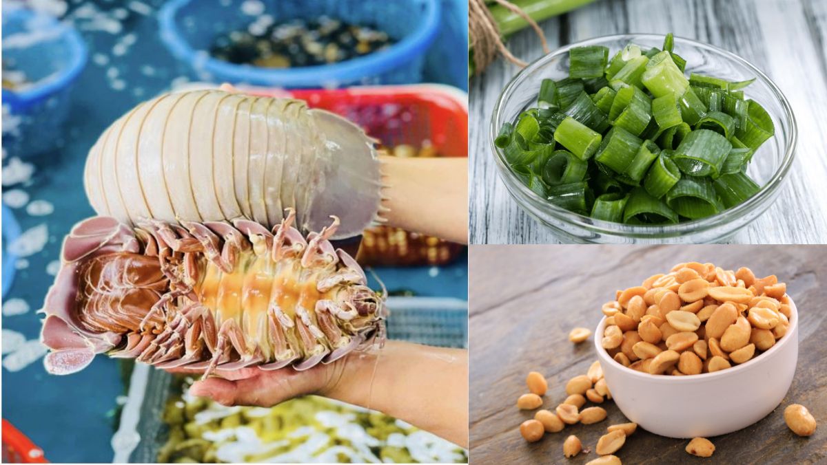 Bọ biển nướng