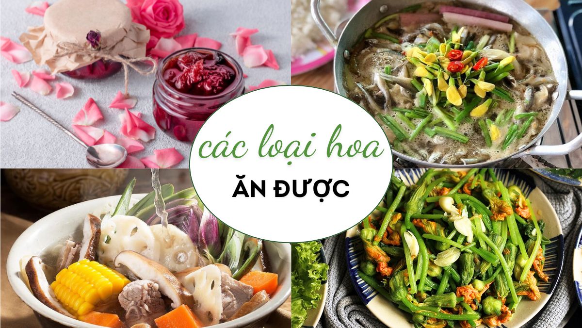 các loại hoa ăn được