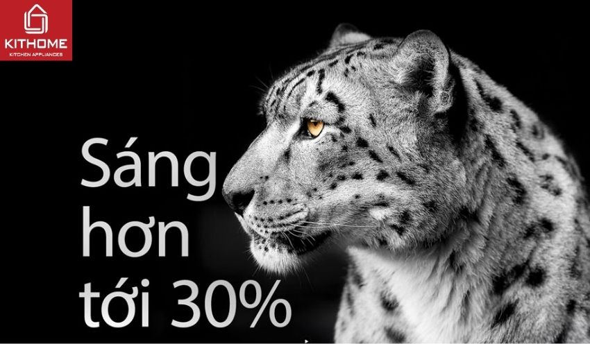 Smart Tivi LG OLED 77 Inch 4K OLED77C4PSA