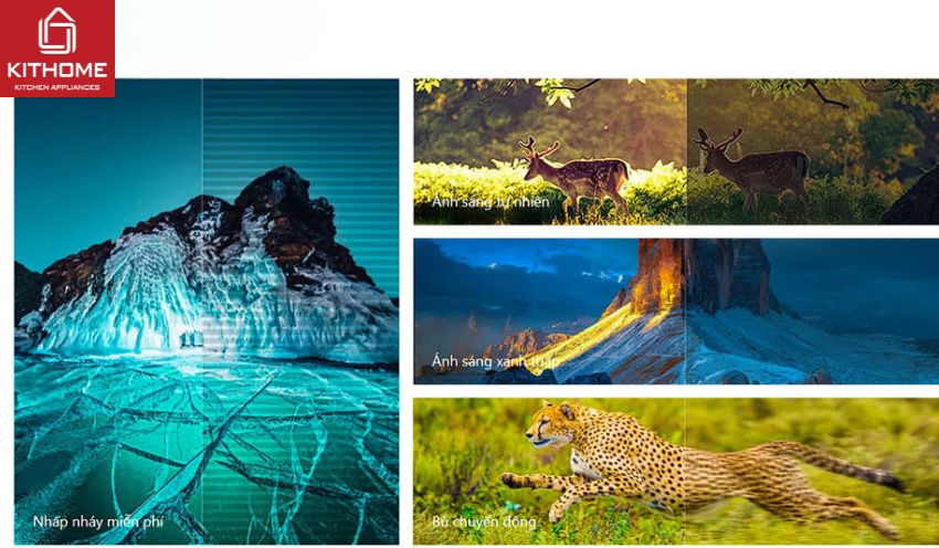 Google Tivi TCL 55 Inch 4K UHD 55P79B Pro