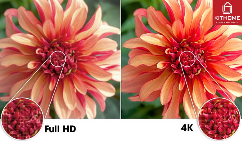 Smart Tivi LG OLED 65 Inch 4K OLED65C4PSA