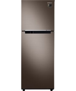 Alternative view of Tủ Lạnh Samsung Inverter RT22M4040DX/SV 2 Cánh 236 Lít