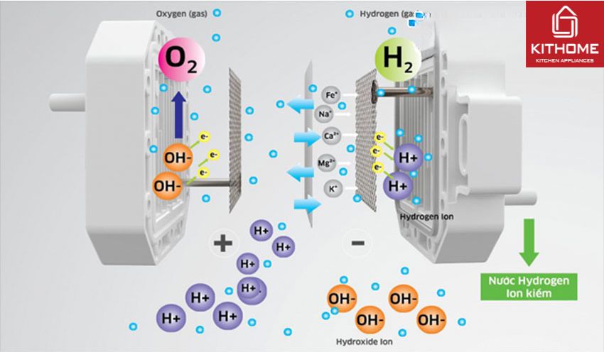 Máy Lọc Nước Kangaroo Hydrogen KG100EO 7 Lõi