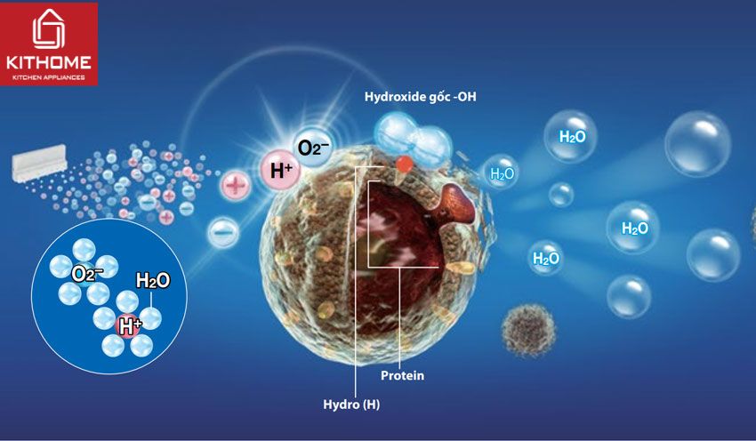 Máy Lọc Không Khí Daikin MC55UVM6-7