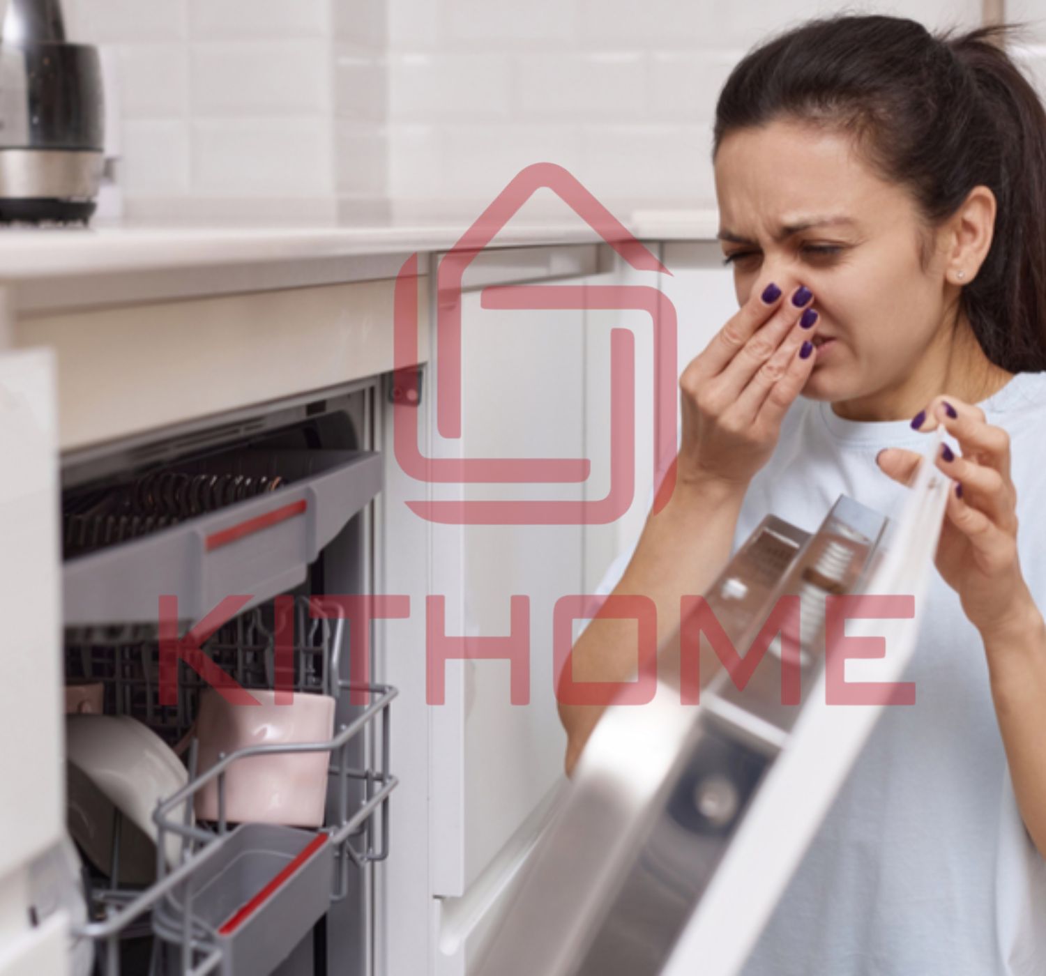 Những lo ngại về tác hại của máy rửa bát