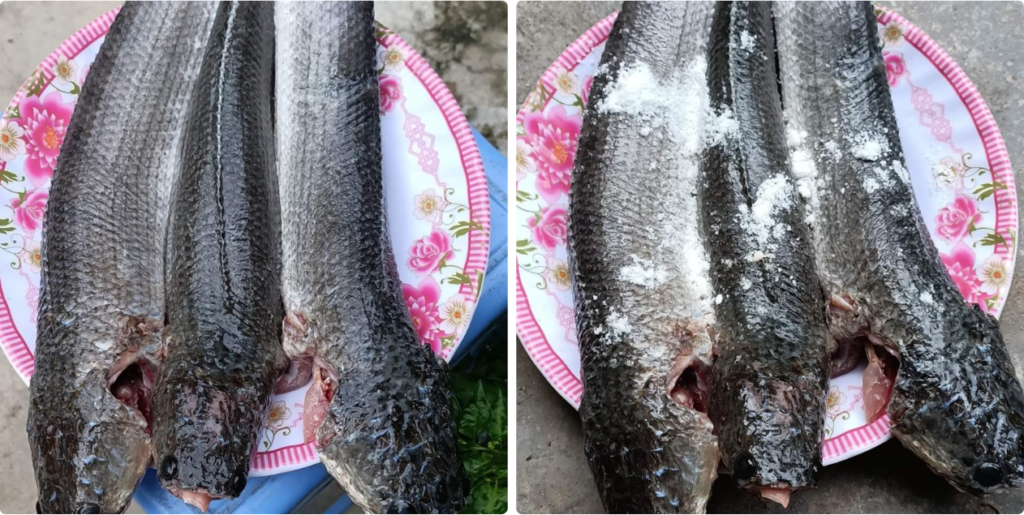 Sơ chế cá lóc