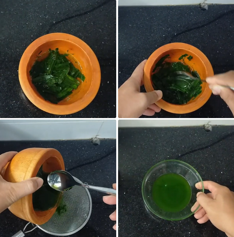 Vắt nước cốt lá dứa