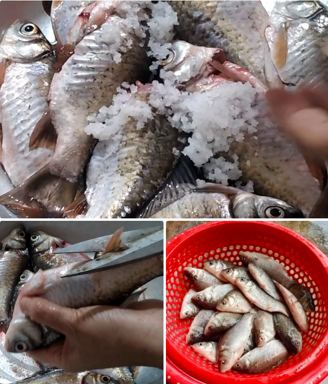 Sơ chế cá diếc