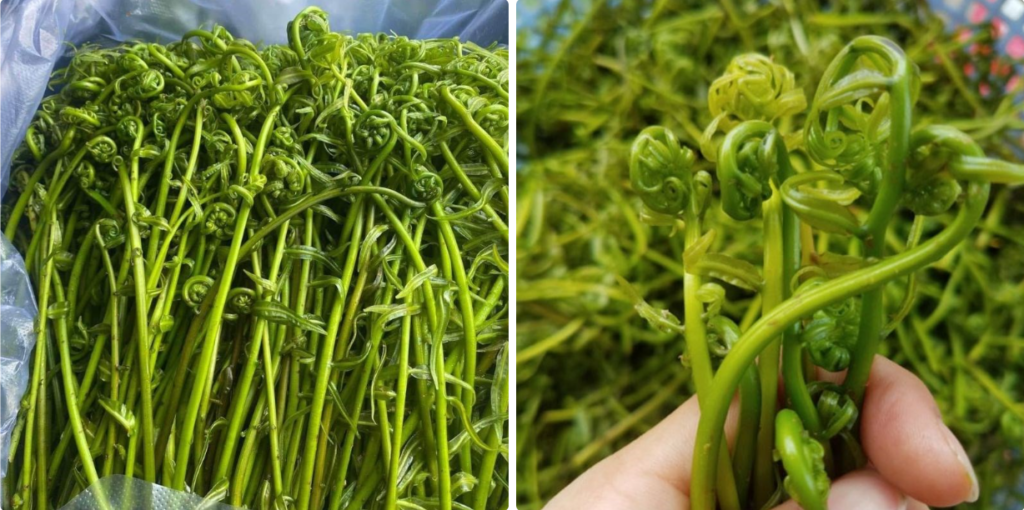 Cách chế biến Rau đọt choại xào tỏi