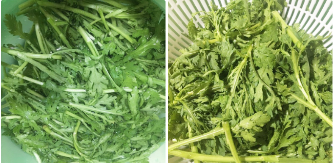 Sơ chế cải cúc (tần ô)