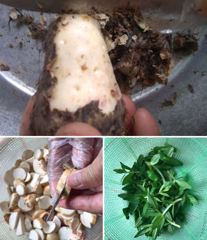 Sơ chế nguyên liệu Sơ chế nguyên liệu