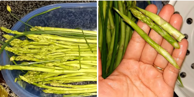 Sơ chế măng tây