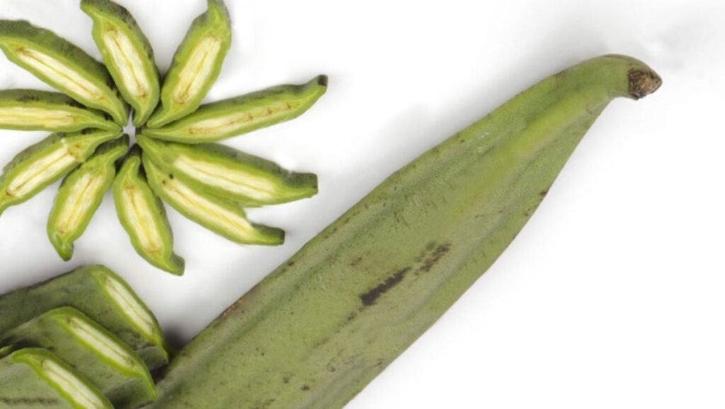 Quả núc nác là quả gì? 3 Cách chế biến quả núc nác thành nhiều món ngon