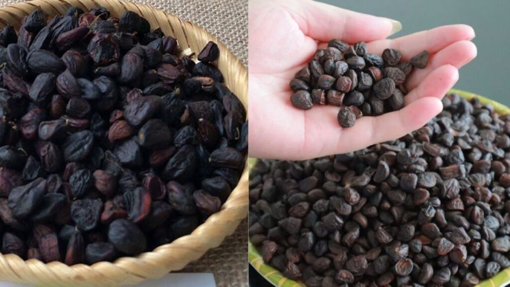 Công dụng của hạt dổi là gì? Cách chế biến hạt dổi bằng bếp ga và chảo