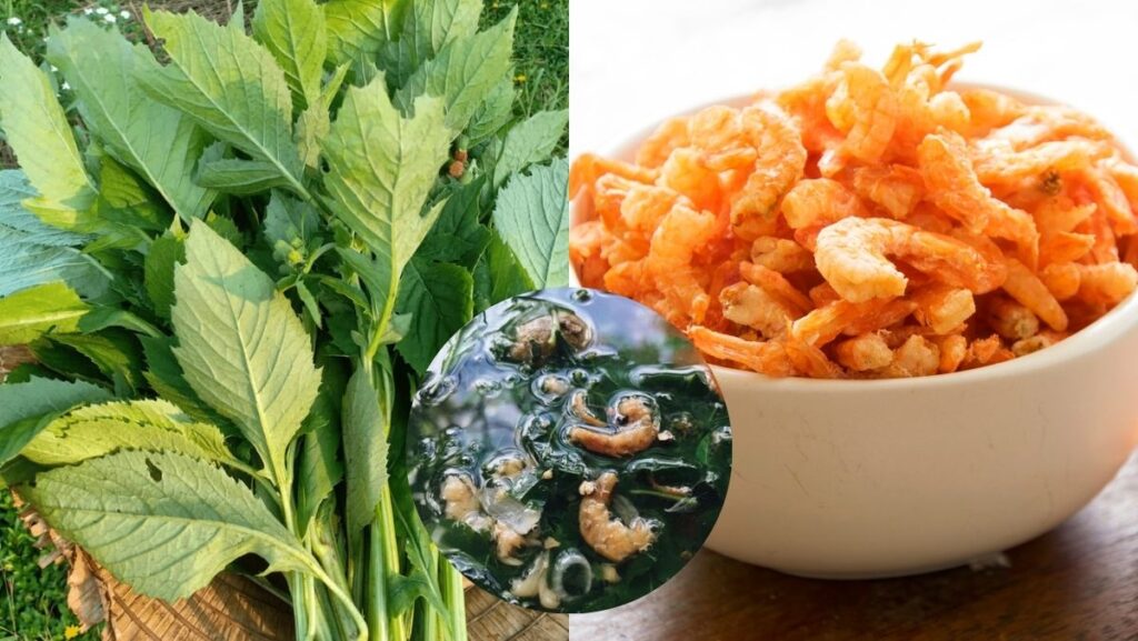 Cách làm rau tàu bay nấu canh tôm khô đơn giản thanh nhiệt