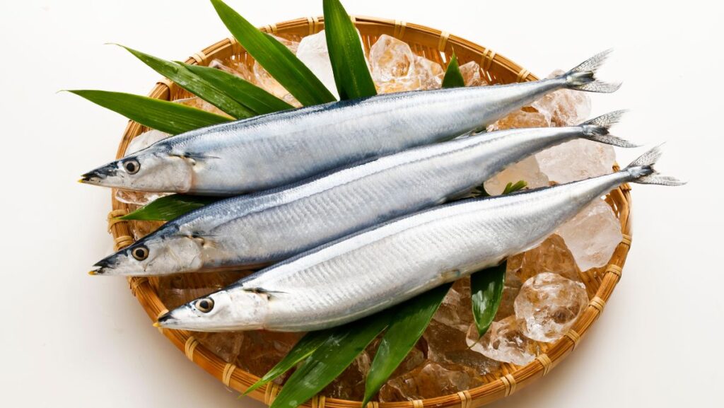 Cá thu đao là cá gì? Cá thu đao nấu món gì ngon?
