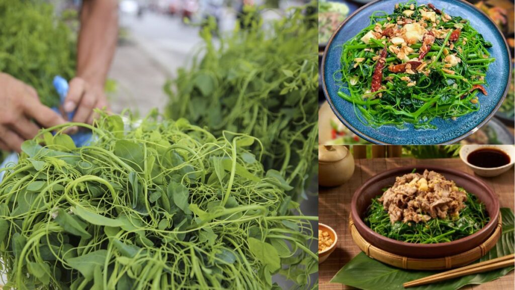 Rau bò khai là rau gì? Cách chế biến rau bò khai thơm ngon đơn giản