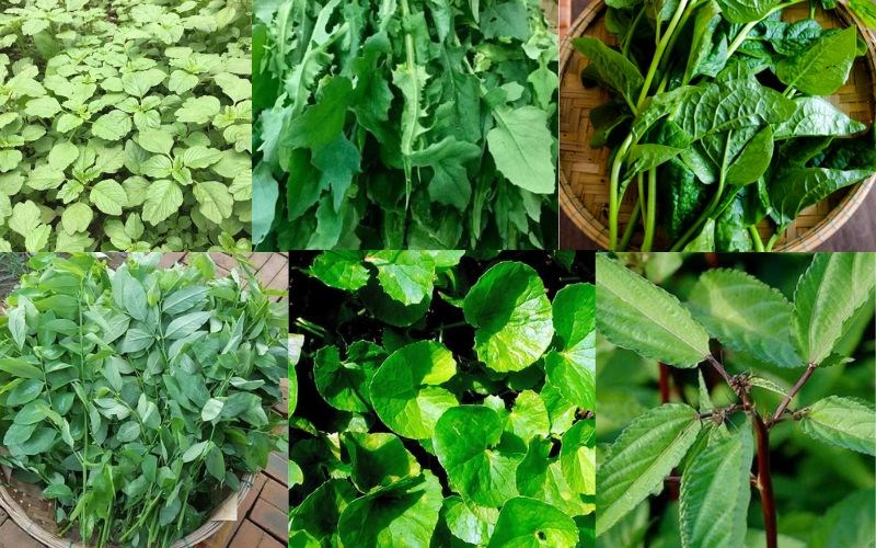 Rau tập tàng là rau gì? Tổng hợp 2 cách nấu canh rau tập tàng ngon