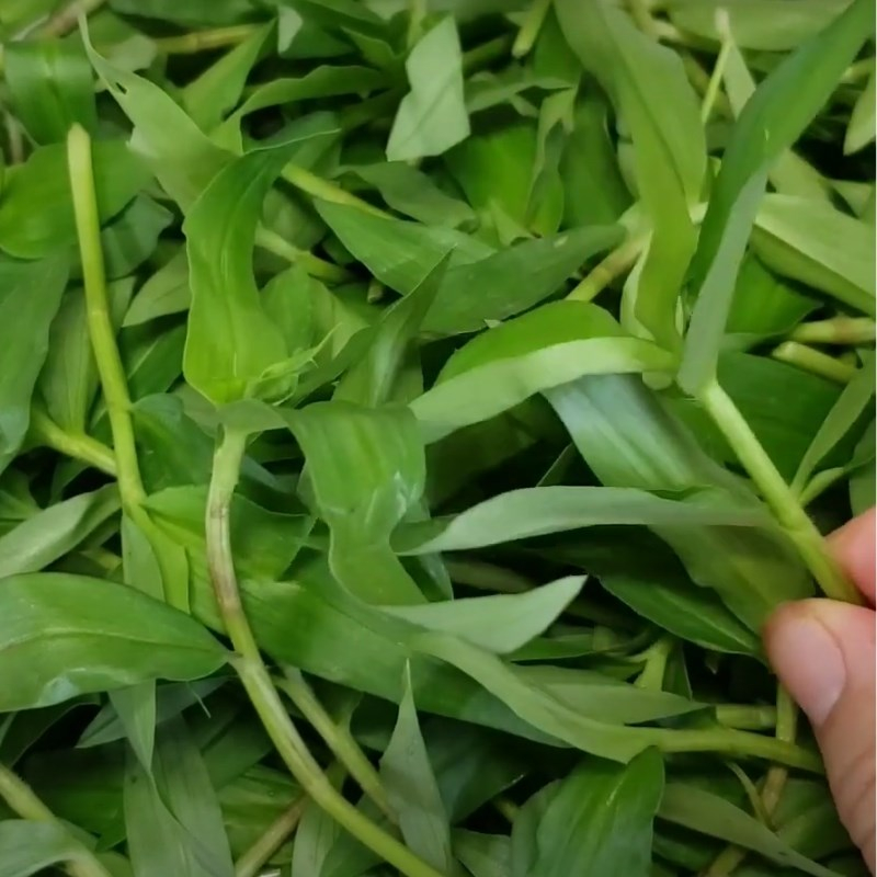 Sơ chế nguyên liệu