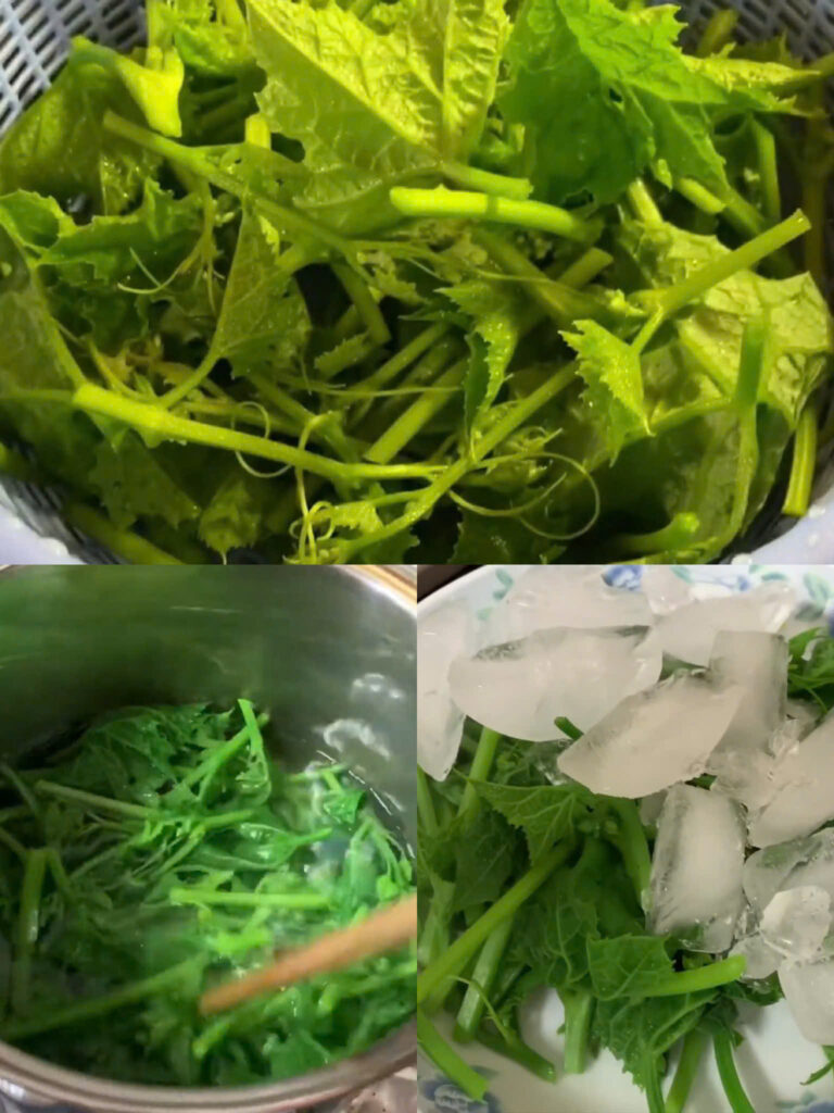 Sơ chế đọt mướp