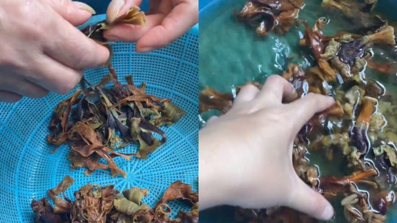 Ngâm hoa núc nác khô