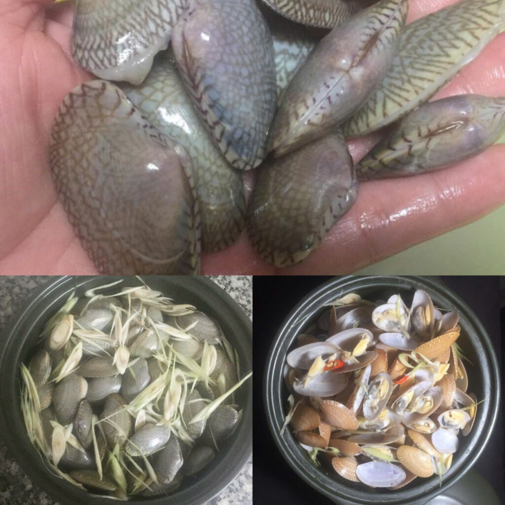 Sơ chế nguyên liệu