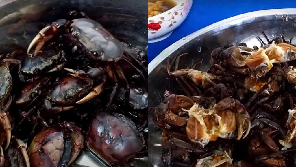 Sơ chế nguyên liệu