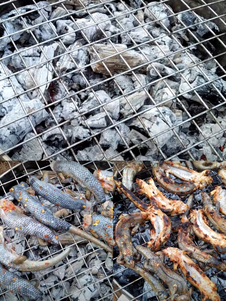 Nướng rắn mối