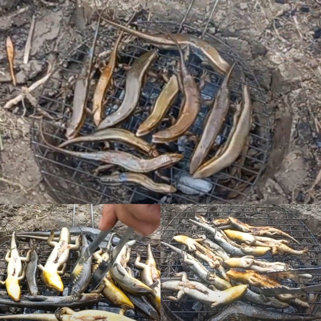 Nướng rắn mối