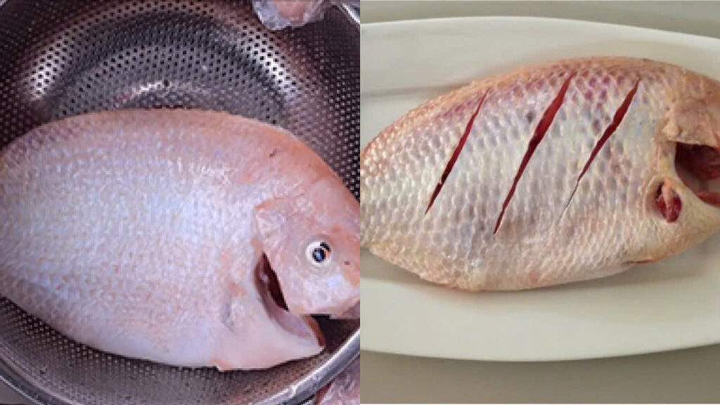 Sơ chế cá diêu hồng