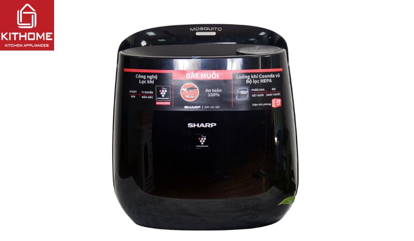 Vùng sông nước, môi trường ẩm ướt