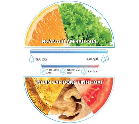 Tủ lạnh 4 cánh Toshiba model GR-RF610WE-PMV(37)-SG được trang bị ngăn giữ ẩm và ngăn cấp đông