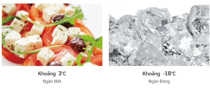 Tủ lạnh 349 lít FVY480PGV0 (GBK) sở hữu hai cảm biến nhiệt Eco