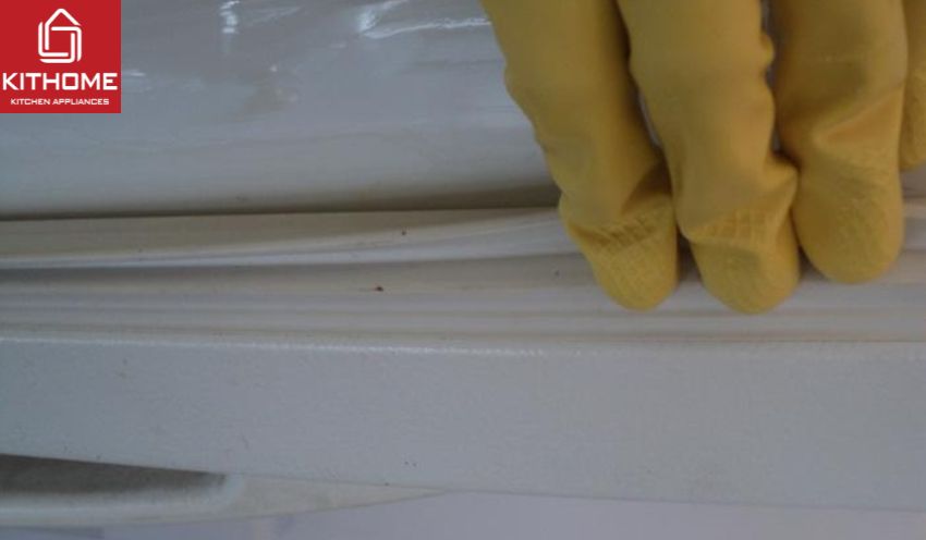 Lớp cao su ở cửa là nơi bẩn nhất Lớp cao su ở cửa là nơi bẩn nhất