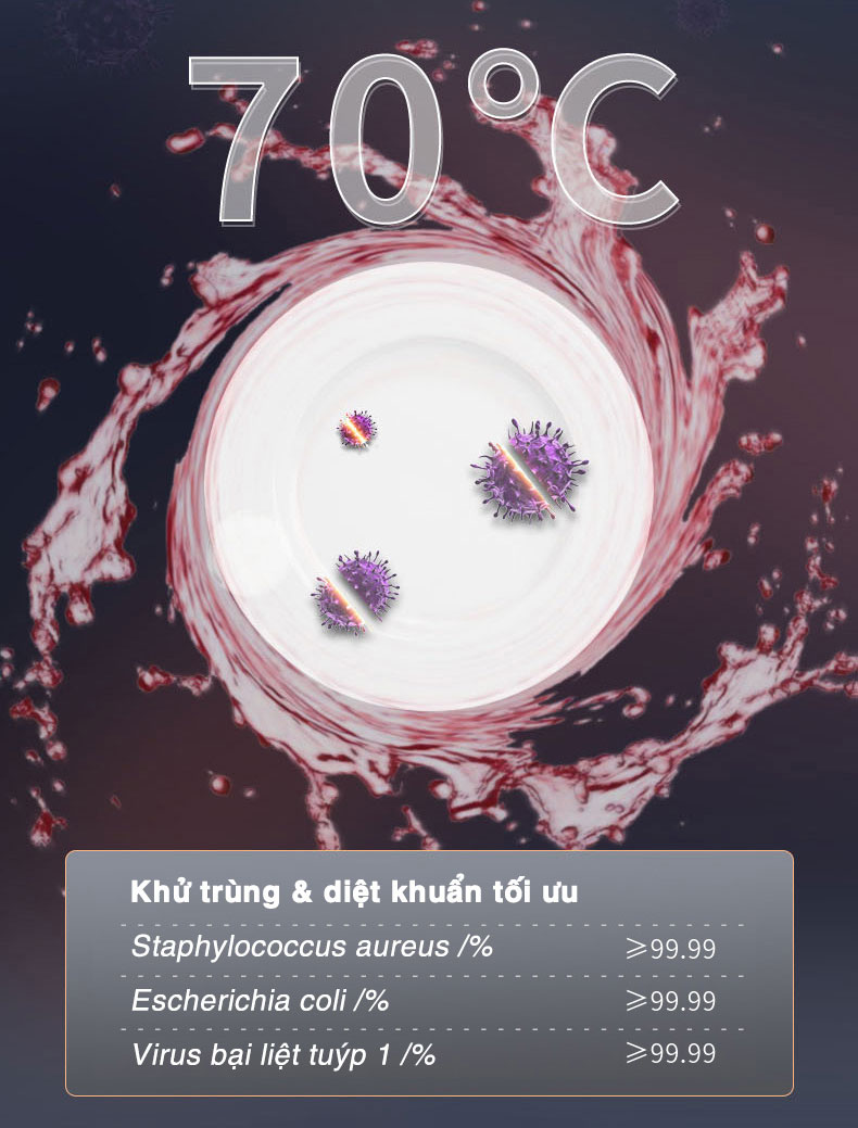 Máy rửa bát Richborn RDP6085SHB 16 bộ