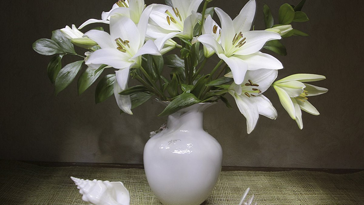 Mẹo giữ hoa tươi lâu ngày Tết