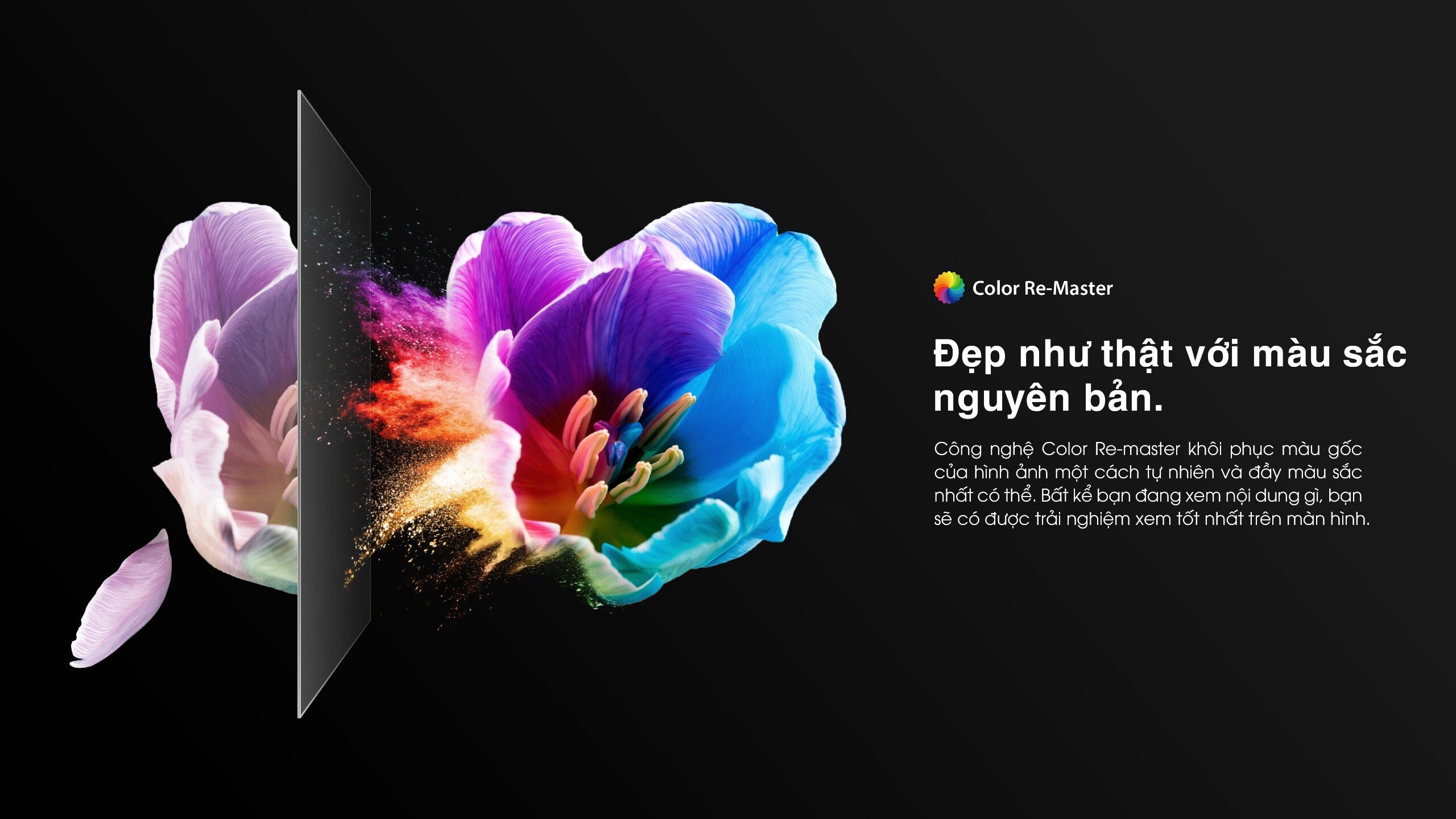 Smart TV QLED 4K Toshiba 55 inch 55M450NP