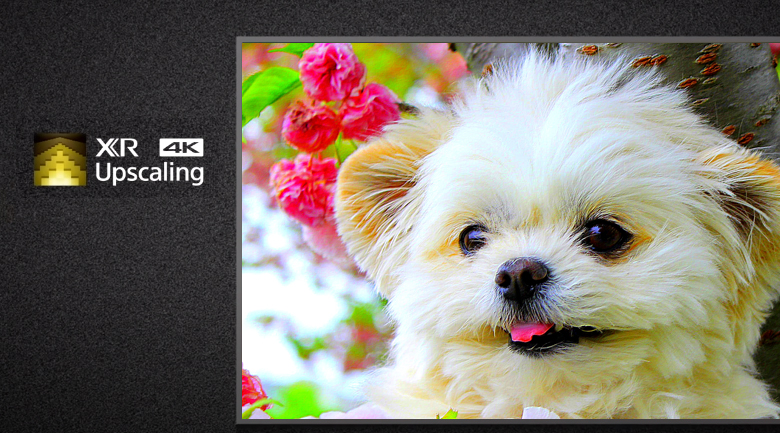 Công nghệ XR 4K Upscaling trên tivi Sony XR-50X90J Công nghệ XR 4K Upscaling trên tivi Sony XR-50X90J