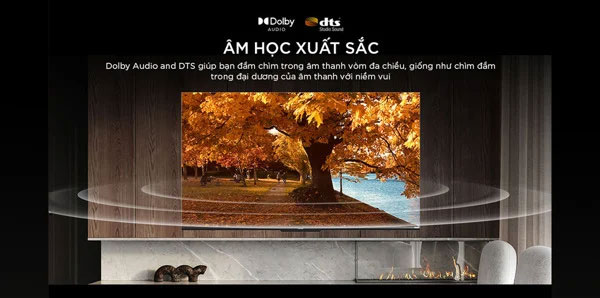 Tivi 55Y72 Coocaa được trang bị nhiều công nghệ âm thanh sống động