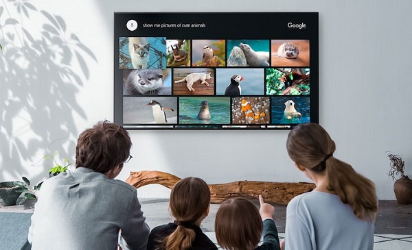 Điều khiển, tìm kiếm bằng giọng nói