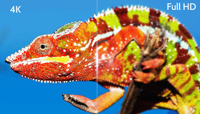 Tái tạo hình ảnh sắc nét, chi tiết nhờ độ phân giải 4K