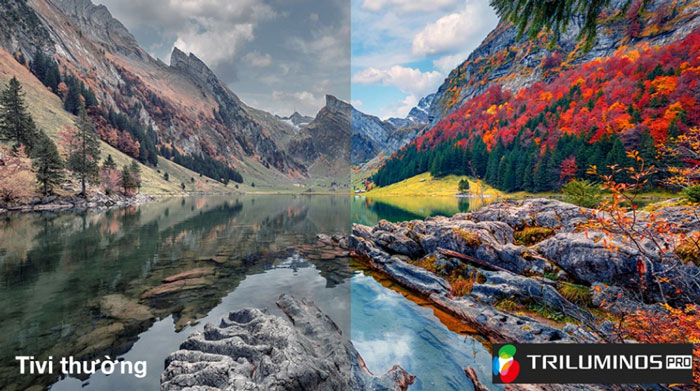 Công nghệ tạo màu Triluminos Pro cho hình ảnh rực rỡ hơn