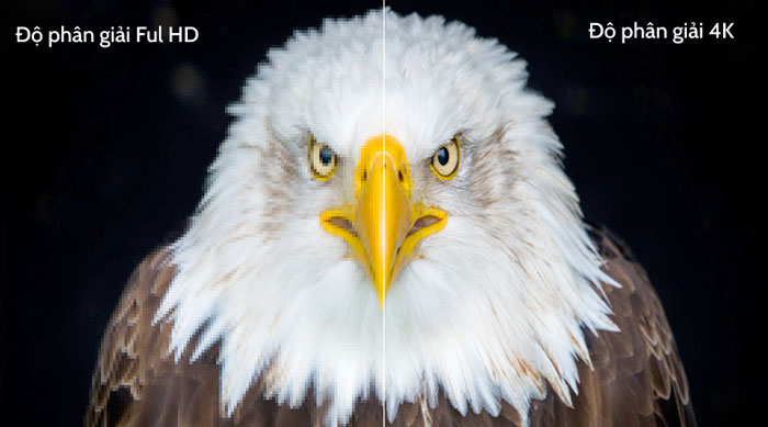 Độ phân giải 4K cho hình ảnh chi tiết, rõ nét