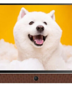 Google tivi xách tay Coocaa FHD 24 inch 24LP6000G | Kithome