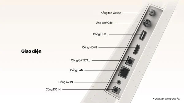 Các cổng kết nối tivi Coocaa 24LP6000G