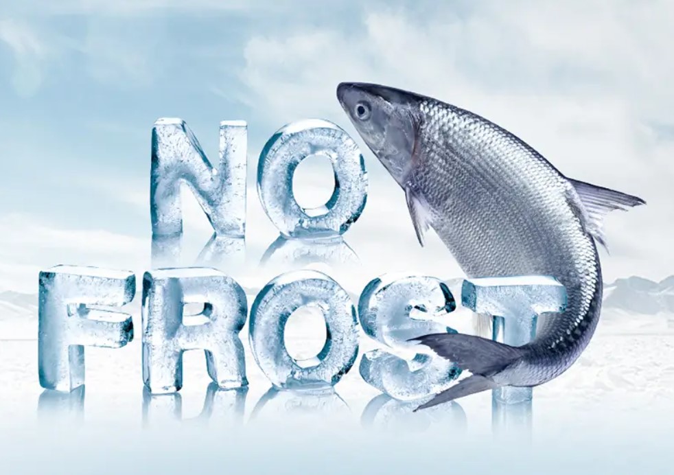 Tủ lạnh Aqua AQR-M532XA(CBC) không đóng tuyết